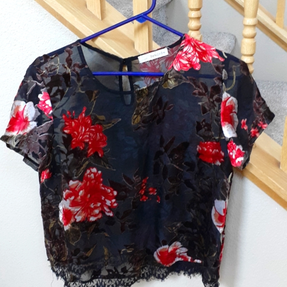 Rewind Sheer Velvet Top